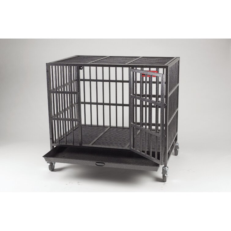 Proselect 2025 dog crate